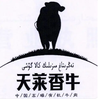 20211130174911311131