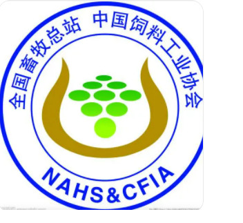 20211130182611811181