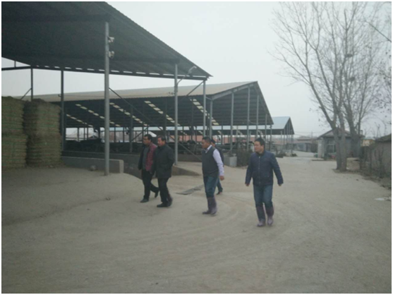 ��ҳ| PP������Ϸ�й����ٷ���վ