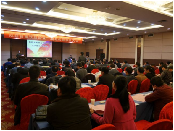 ��ҳ| PP������Ϸ�й����ٷ���վ