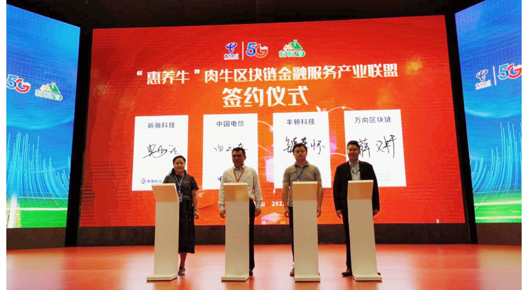 ��ҳ| PP������Ϸ�й����ٷ���վ