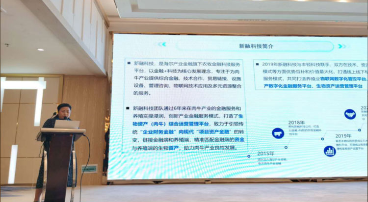 ��ҳ| PP������Ϸ�й����ٷ���վ