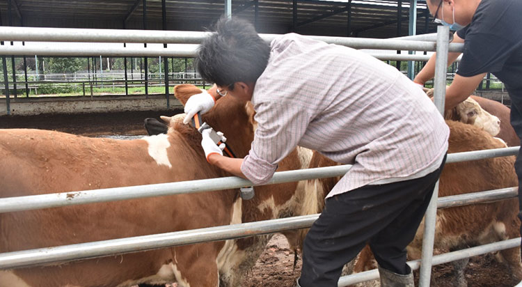 ��ҳ| PP������Ϸ�й����ٷ���վ