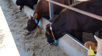 ��ҳ| PP������Ϸ�й����ٷ���վ