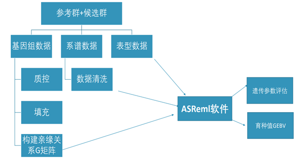 ��ҳ| PP������Ϸ�й����ٷ���վ