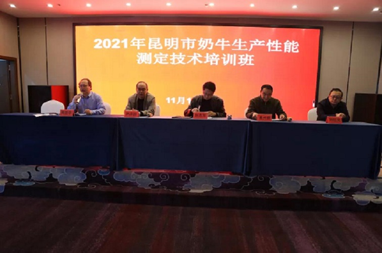 ��ҳ| PP������Ϸ�й����ٷ���վ