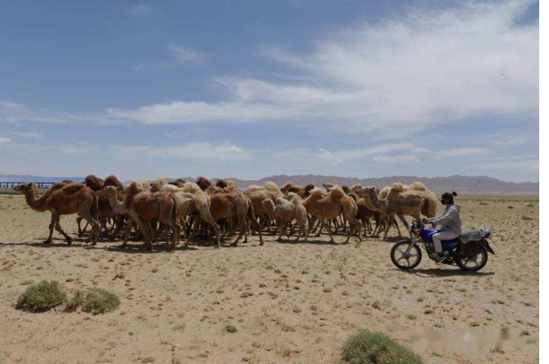 ��ҳ| PP������Ϸ�й����ٷ���վ