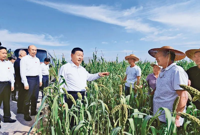 ��ҳ| PP������Ϸ�й����ٷ���վ