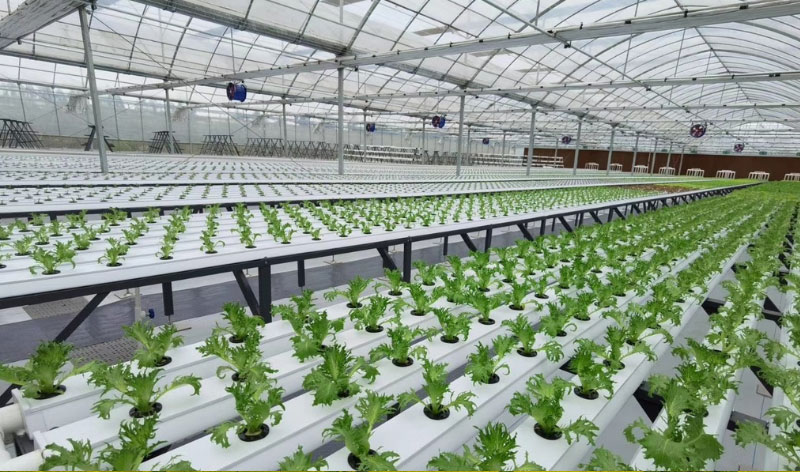 ��ҳ| PP������Ϸ�й����ٷ���վ