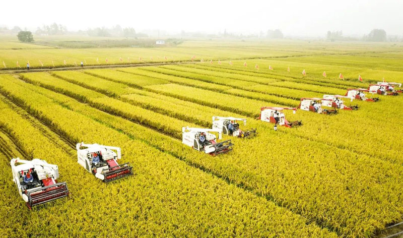 ��ҳ| PP������Ϸ�й����ٷ���վ