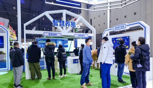 ��ҳ| PP������Ϸ�й����ٷ���վ