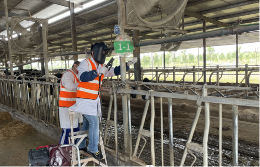 ��ҳ| PP������Ϸ�й����ٷ���վ