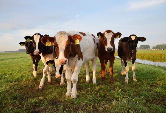 ��ҳ| PP������Ϸ�й����ٷ���վ