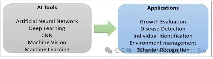 ��ҳ| PP������Ϸ�й����ٷ���վ