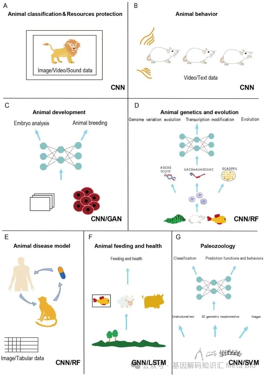 ��ҳ| PP������Ϸ�й����ٷ���վ