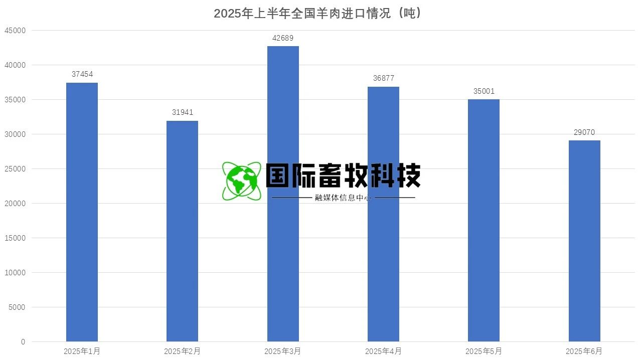 ��ҳ| PP������Ϸ�й����ٷ���վ